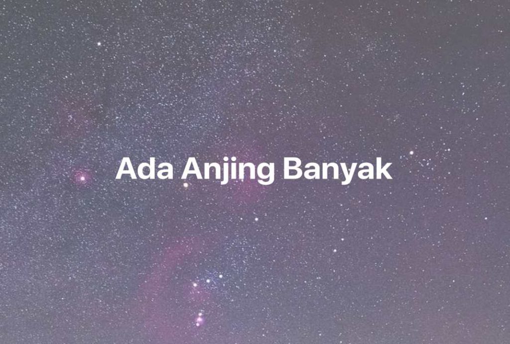 Gambar Mimpi Ada Anjing Banyak