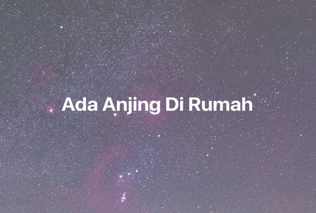 Gambar Mimpi Ada Anjing Di Rumah