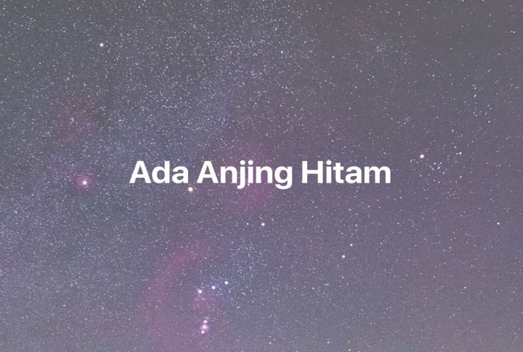 Gambar Mimpi Ada Anjing Hitam