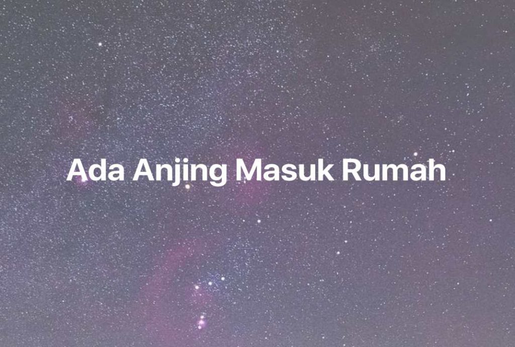 Gambar Mimpi Ada Anjing Masuk Rumah