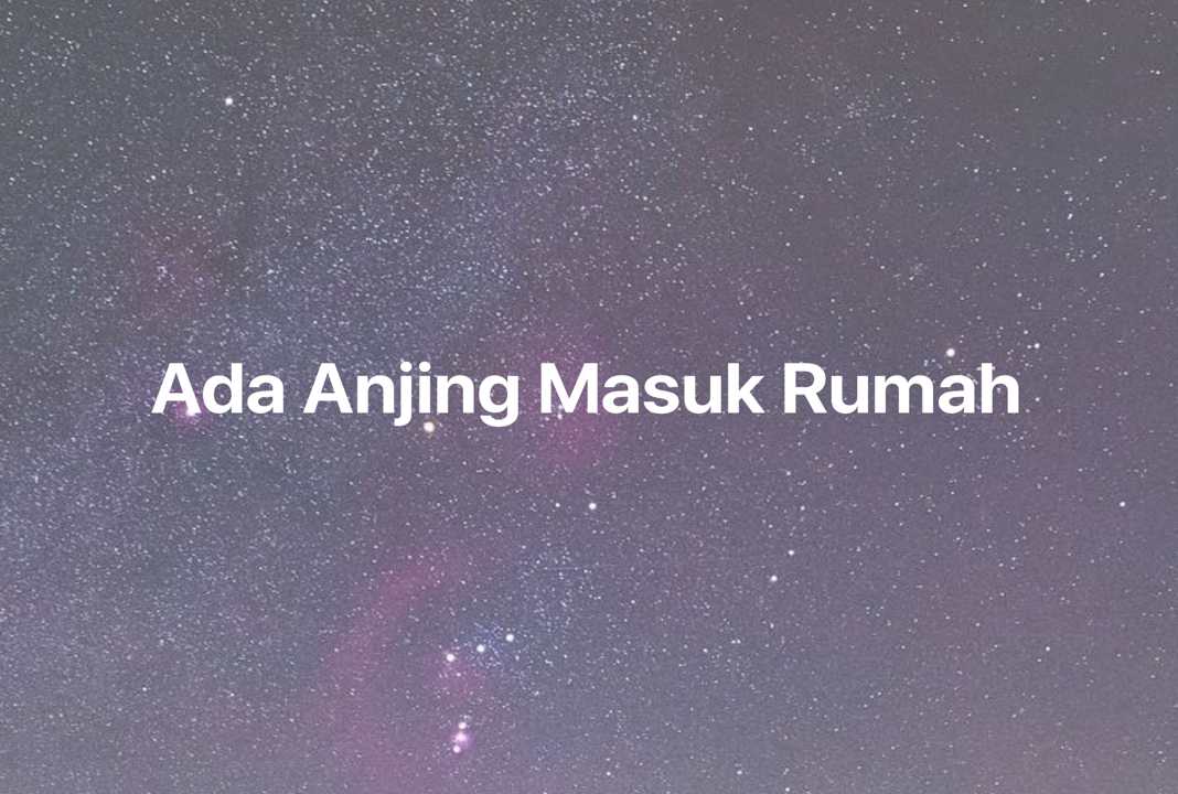 Gambar Mimpi Ada Anjing Masuk Rumah