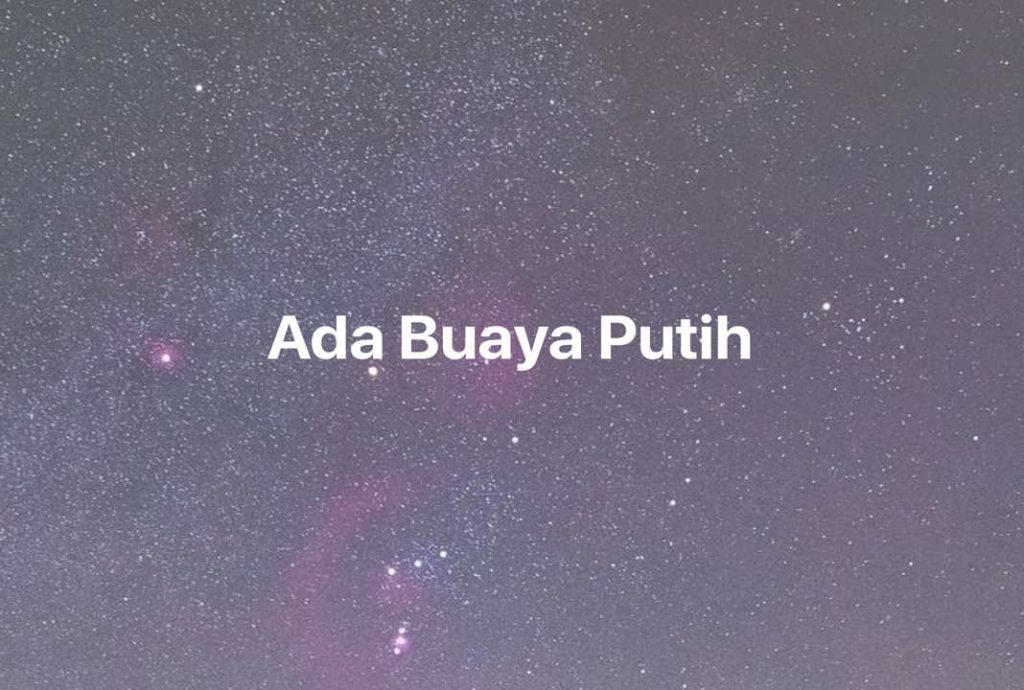 Gambar Mimpi Ada Buaya Putih