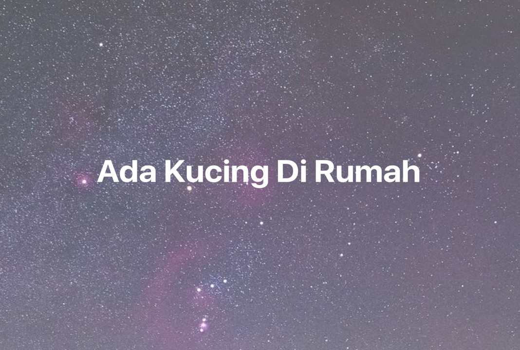 Gambar Mimpi Ada Kucing Di Rumah