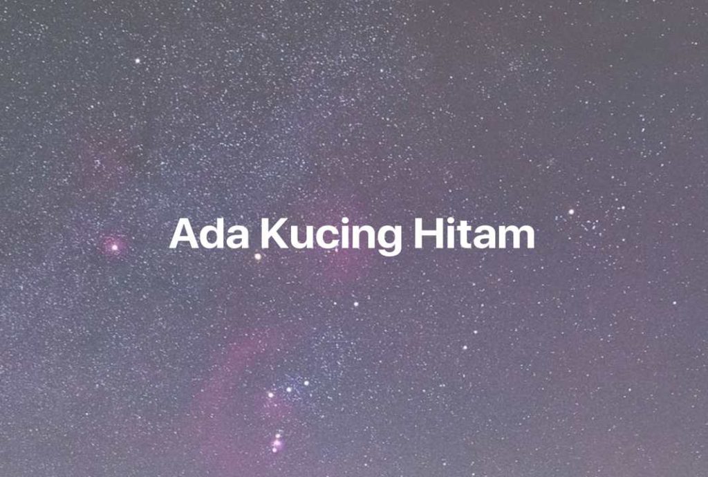 Gambar Mimpi Ada Kucing Hitam