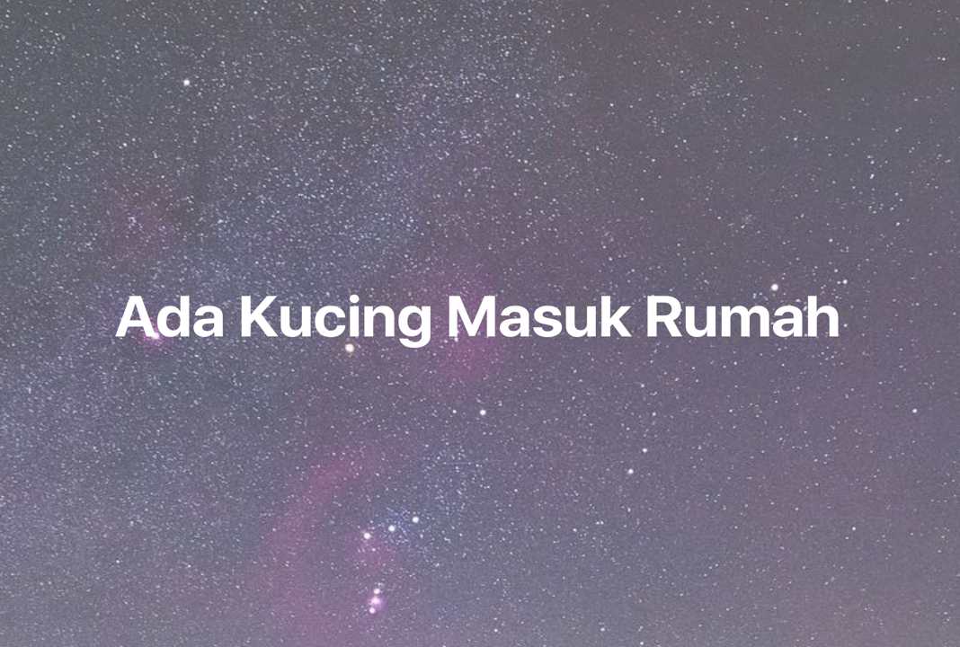 Gambar Mimpi Ada Kucing Masuk Rumah