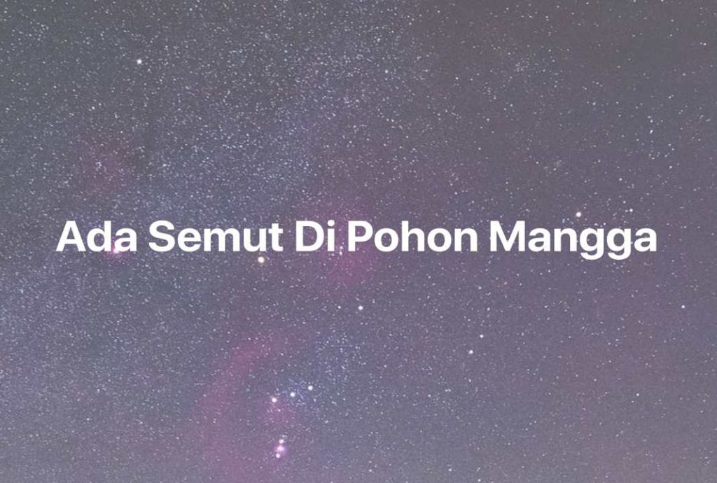 Gambar Mimpi Ada Semut Di Pohon Mangga