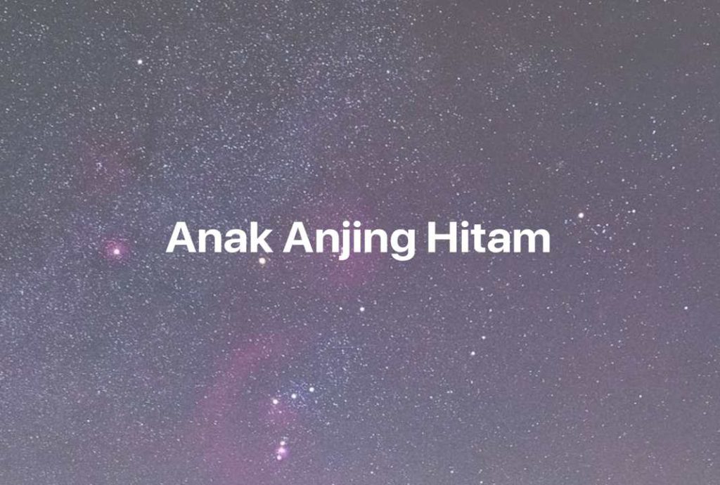 Gambar Mimpi Anak Anjing Hitam