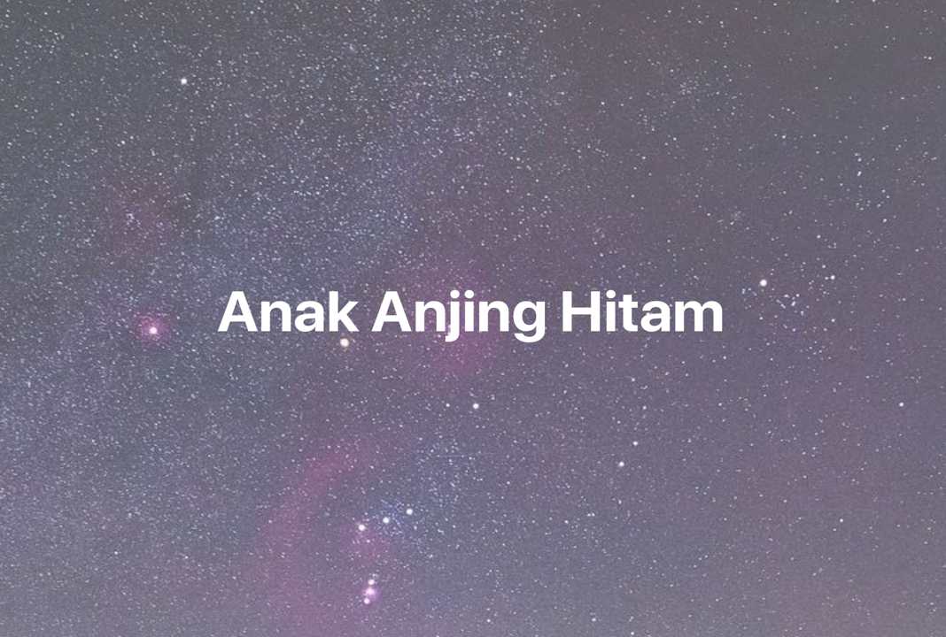 Gambar Mimpi Anak Anjing Hitam