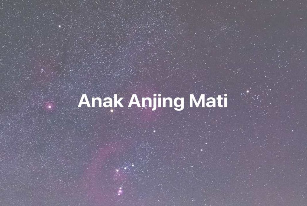 Gambar Mimpi Anak Anjing Mati