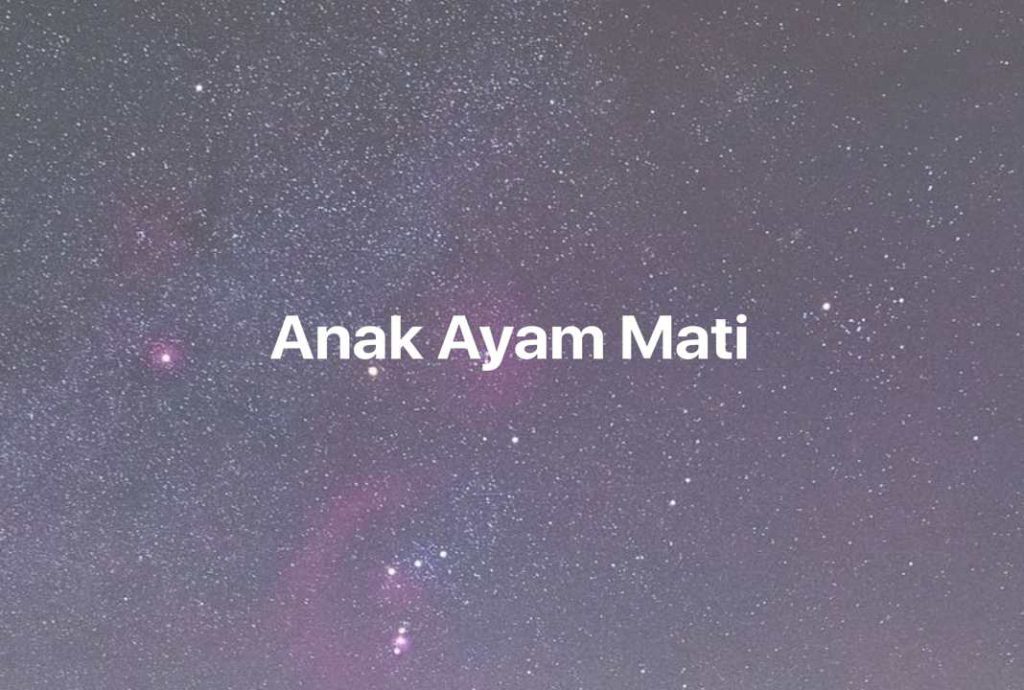 Gambar Mimpi Anak Ayam Mati