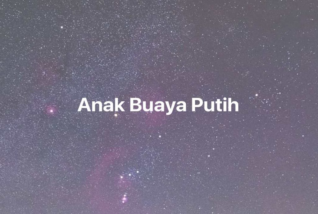 Gambar Mimpi Anak Buaya Putih