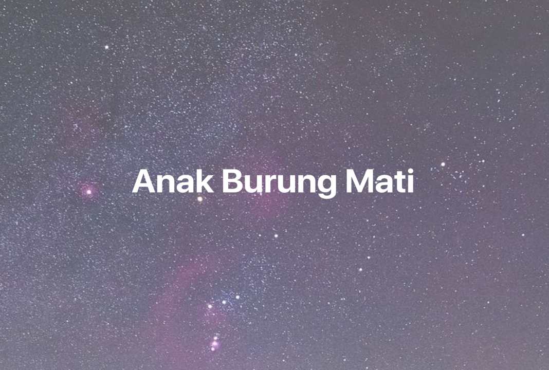 Gambar Mimpi Anak Burung Mati