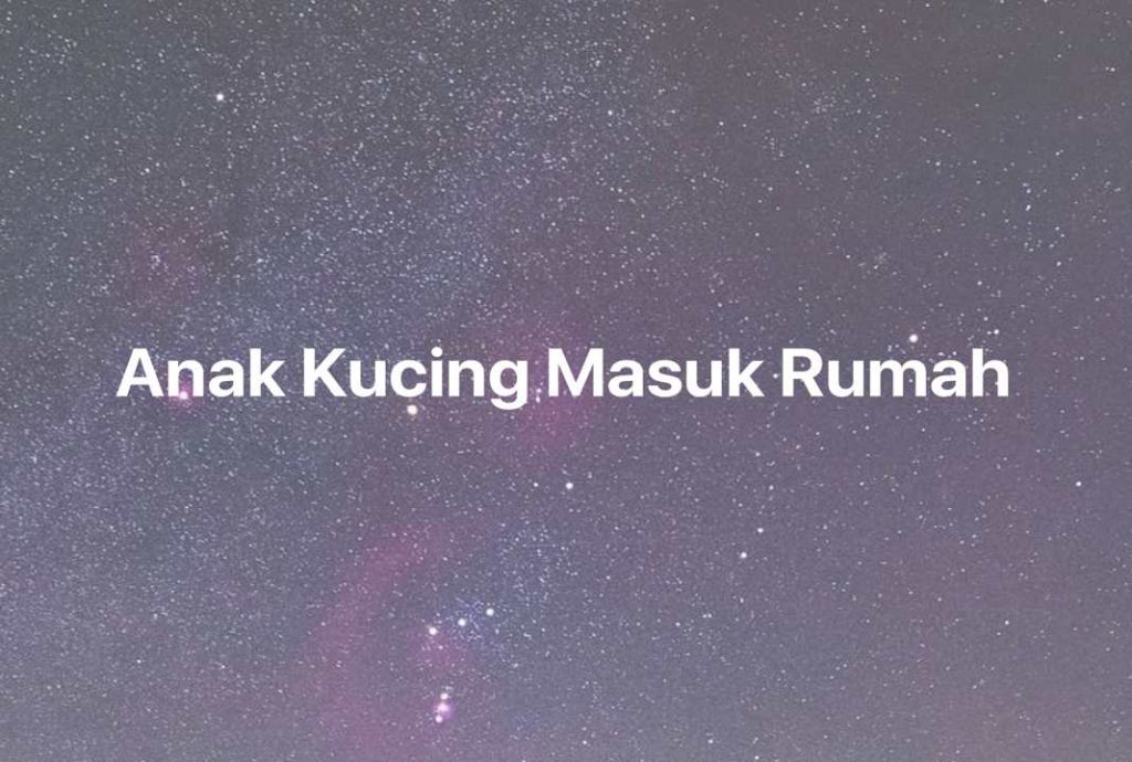 Gambar Mimpi Anak Kucing Masuk Rumah