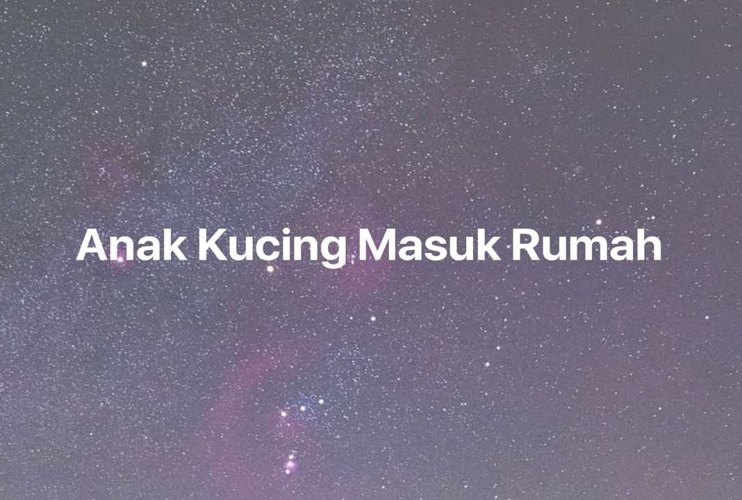 Gambar Mimpi Anak Kucing Masuk Rumah