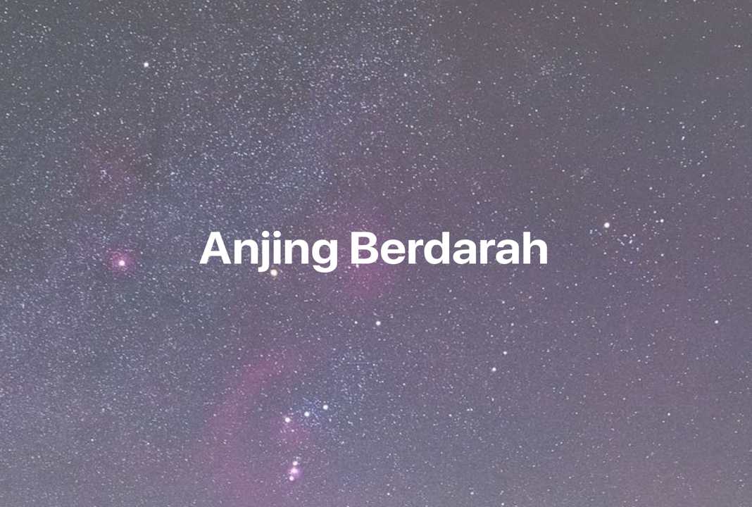 Gambar Mimpi Anjing Berdarah