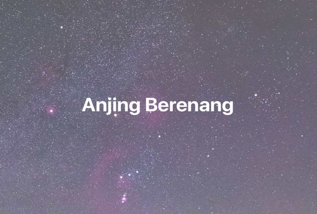 Gambar Mimpi Anjing Berenang