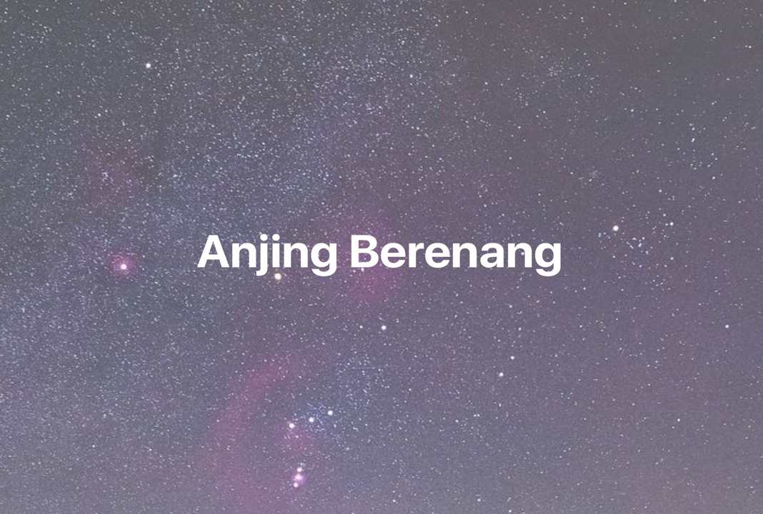 Gambar Mimpi Anjing Berenang