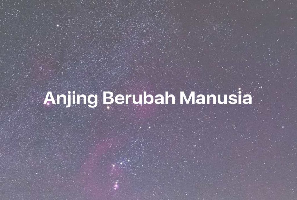 Gambar Mimpi Anjing Berubah Manusia