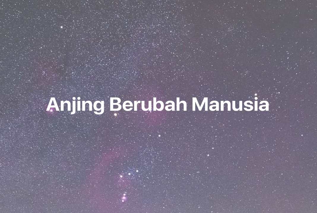 Gambar Mimpi Anjing Berubah Manusia