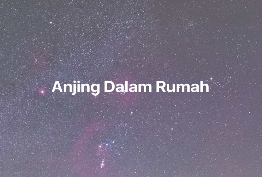 Gambar Mimpi Anjing Dalam Rumah