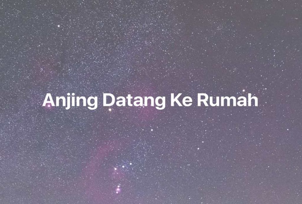 Gambar Mimpi Anjing Datang Ke Rumah