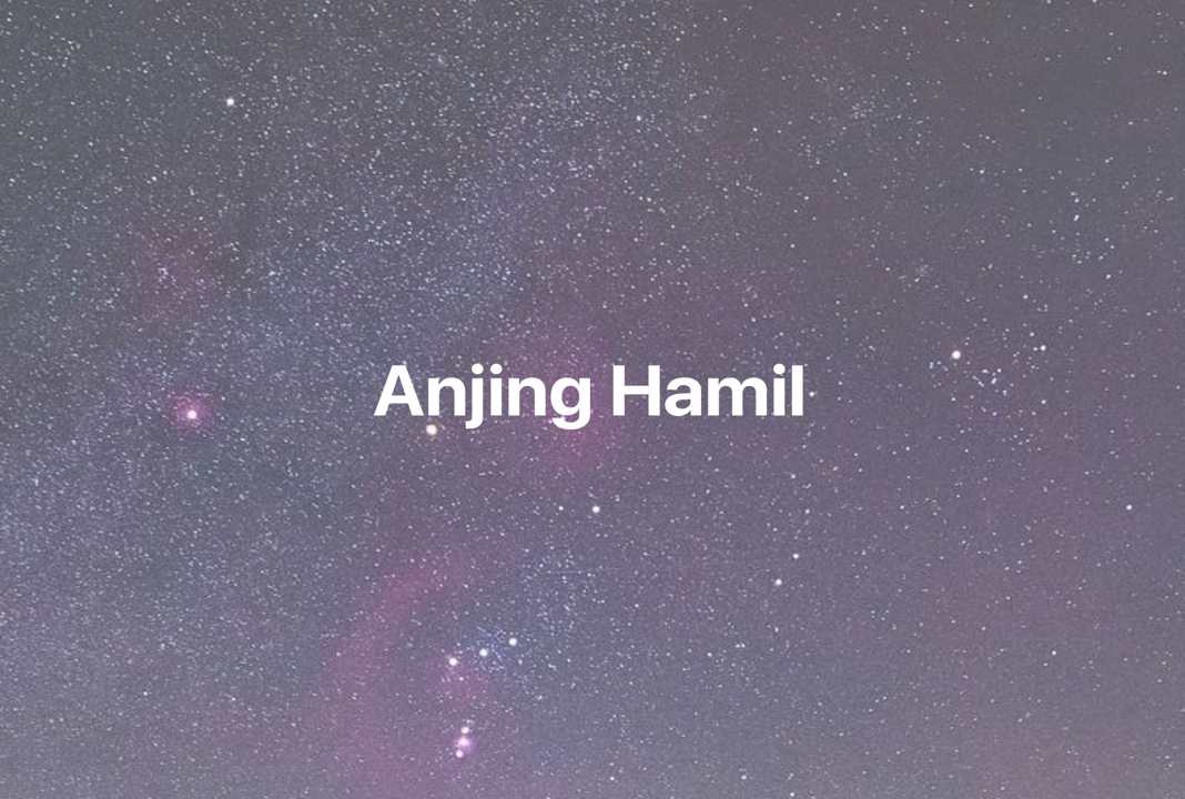 Gambar Mimpi Anjing Hamil