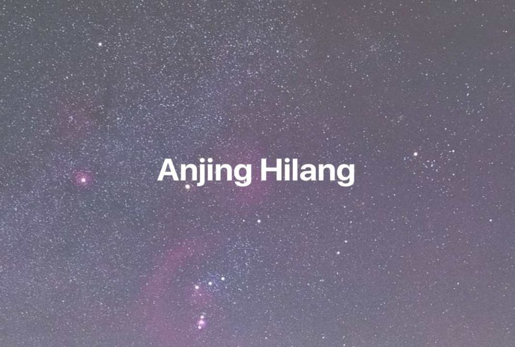 Gambar Mimpi Anjing Hilang