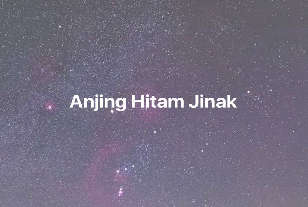 Gambar Mimpi Anjing Hitam Jinak