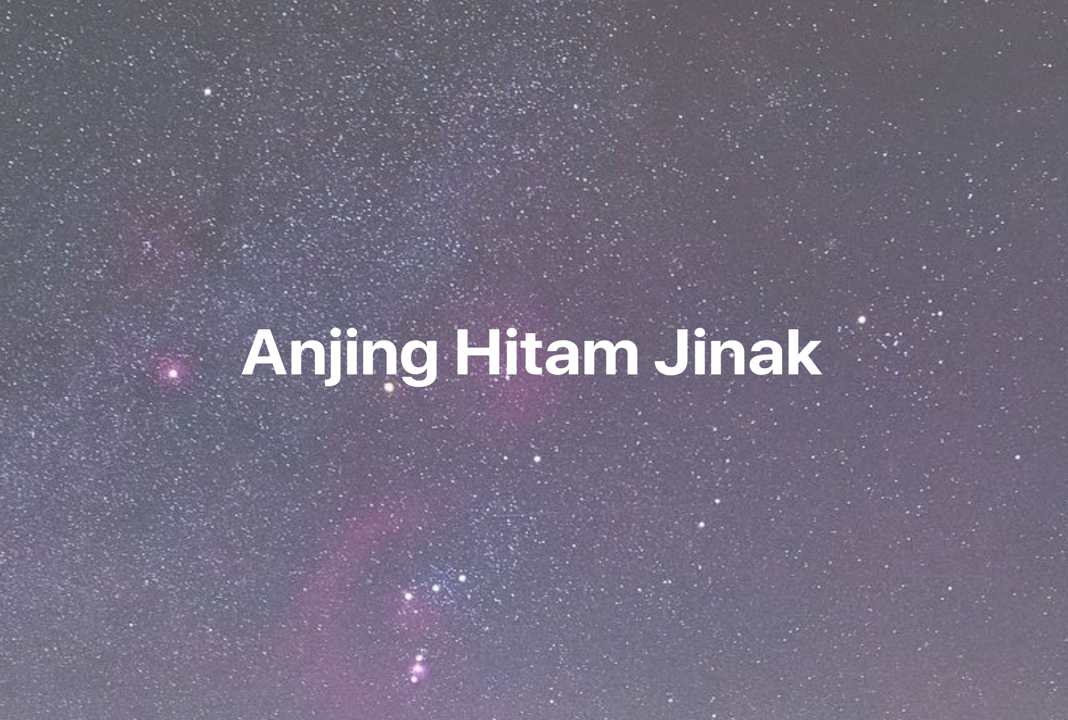 Gambar Mimpi Anjing Hitam Jinak