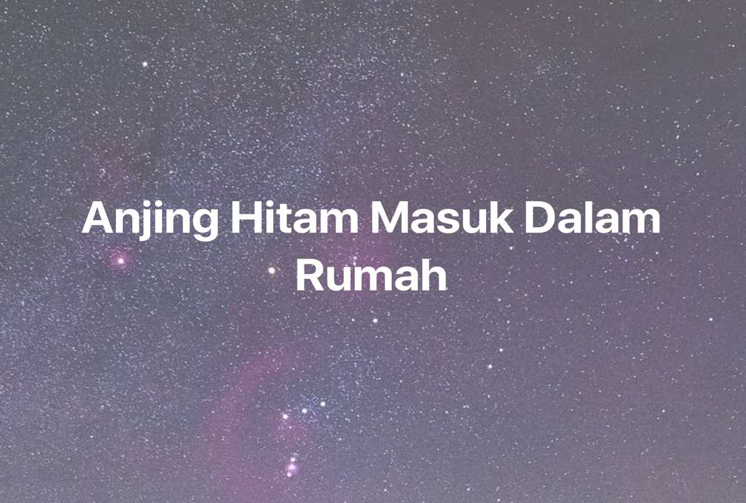 Gambar Mimpi Anjing Hitam Masuk Dalam Rumah