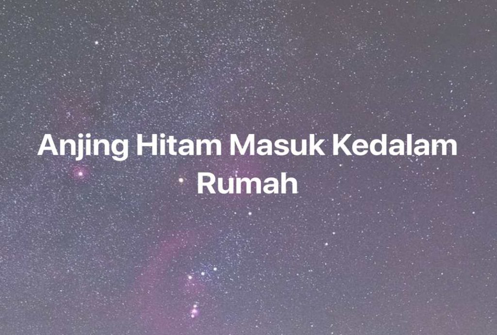 Gambar Mimpi Anjing Hitam Masuk Kedalam Rumah