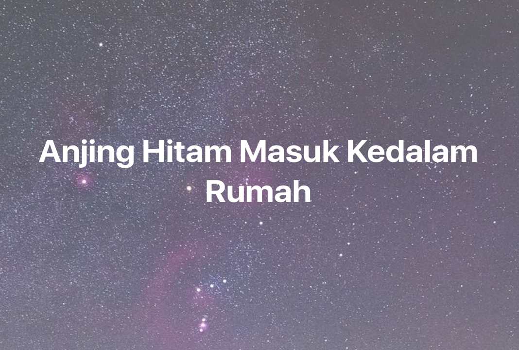 Gambar Mimpi Anjing Hitam Masuk Kedalam Rumah