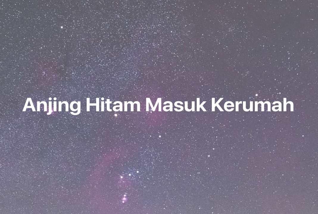 Gambar Mimpi Anjing Hitam Masuk Kerumah