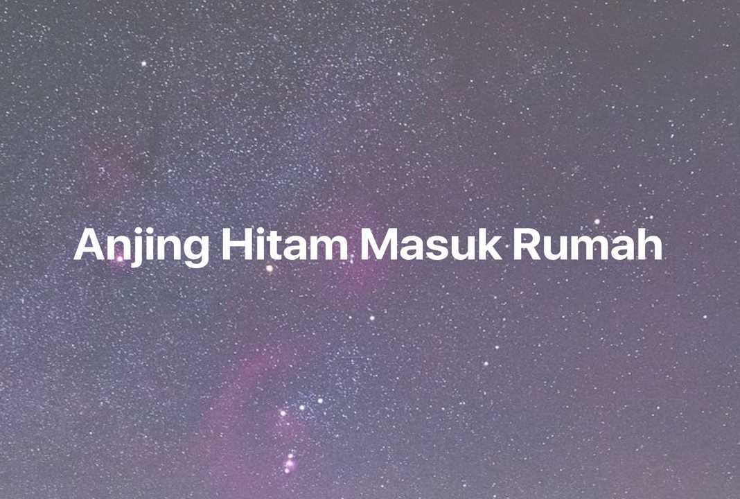 Gambar Mimpi Anjing Hitam Masuk Rumah