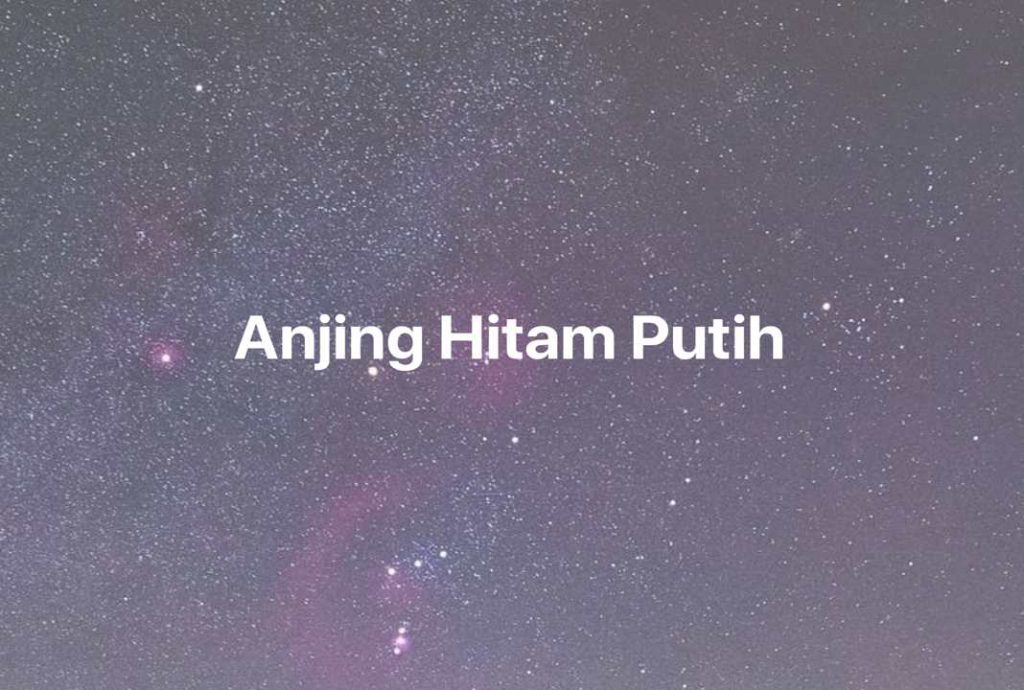 Gambar Mimpi Anjing Hitam Putih