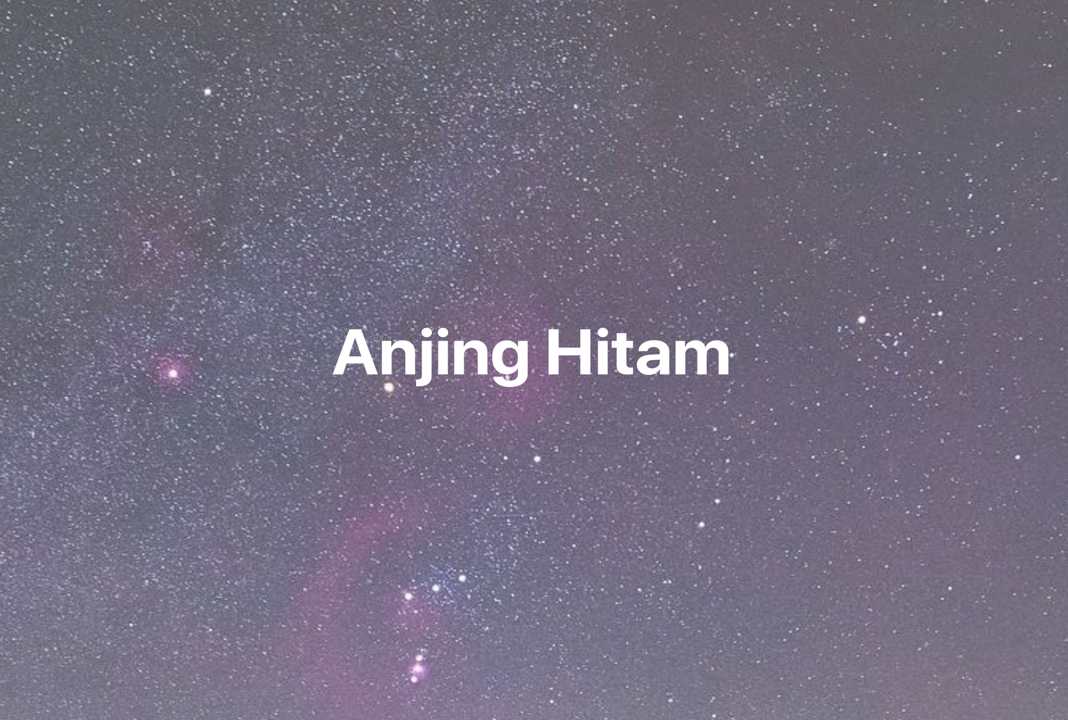 Gambar Mimpi Anjing Hitam