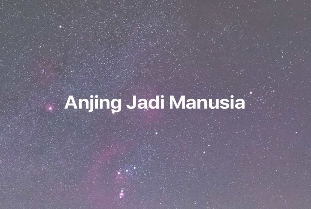 Gambar Mimpi Anjing Jadi Manusia