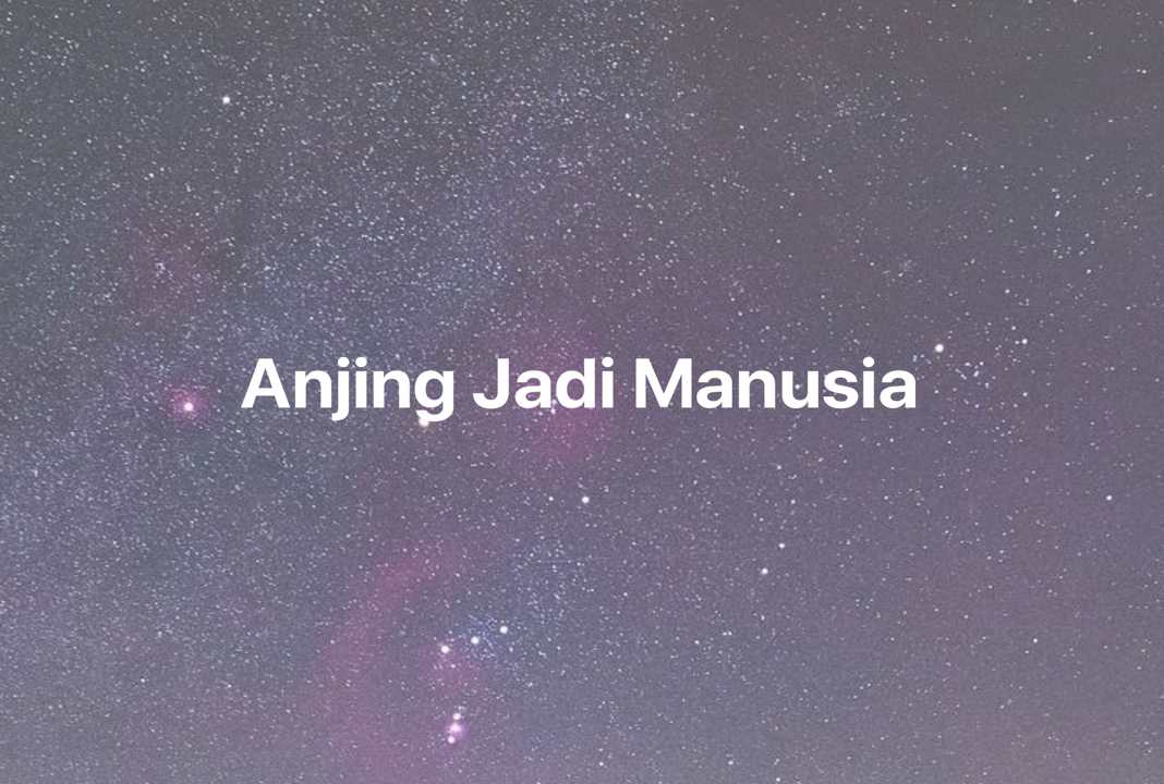 Gambar Mimpi Anjing Jadi Manusia