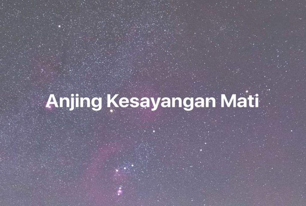 Gambar Mimpi Anjing Kesayangan Mati