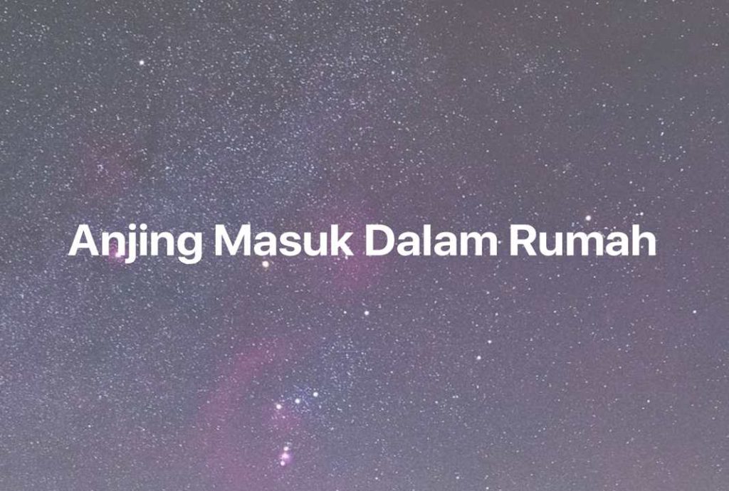 Gambar Mimpi Anjing Masuk Dalam Rumah