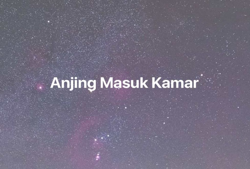 Gambar Mimpi Anjing Masuk Kamar