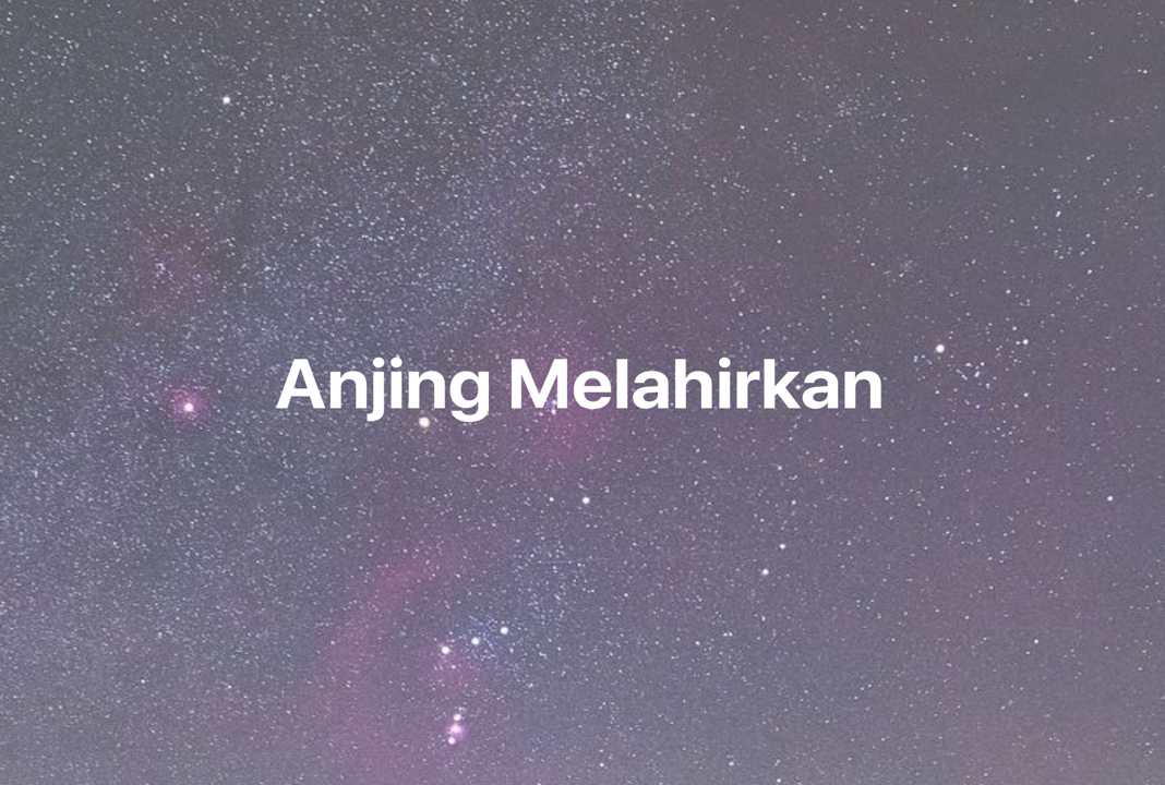 Gambar Mimpi Anjing Melahirkan