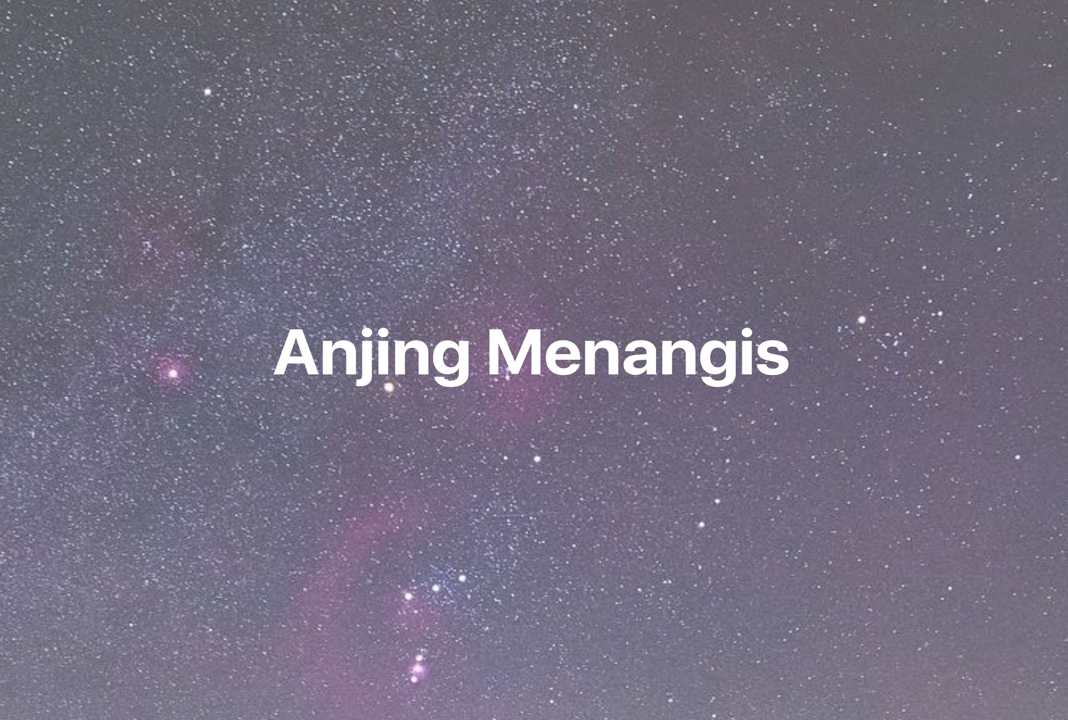 Gambar Mimpi Anjing Menangis