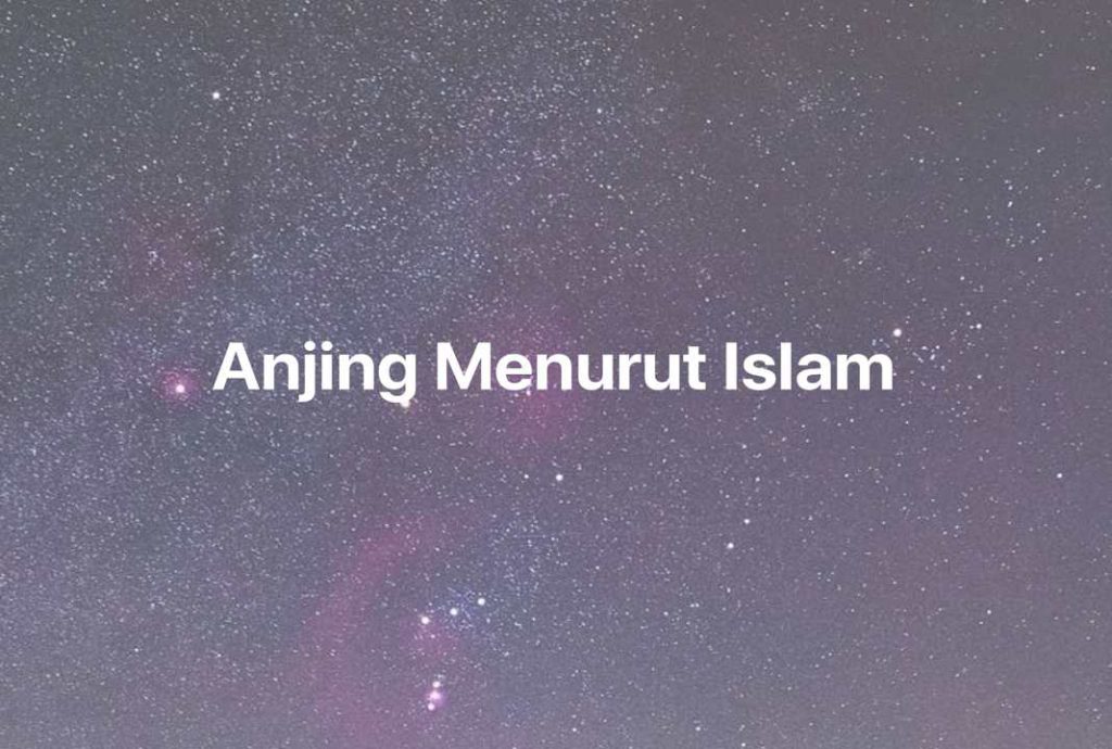 Gambar Mimpi Anjing Menurut Islam