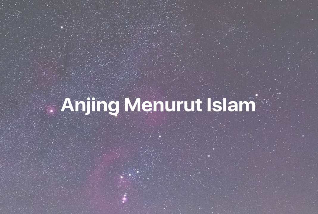 Gambar Mimpi Anjing Menurut Islam