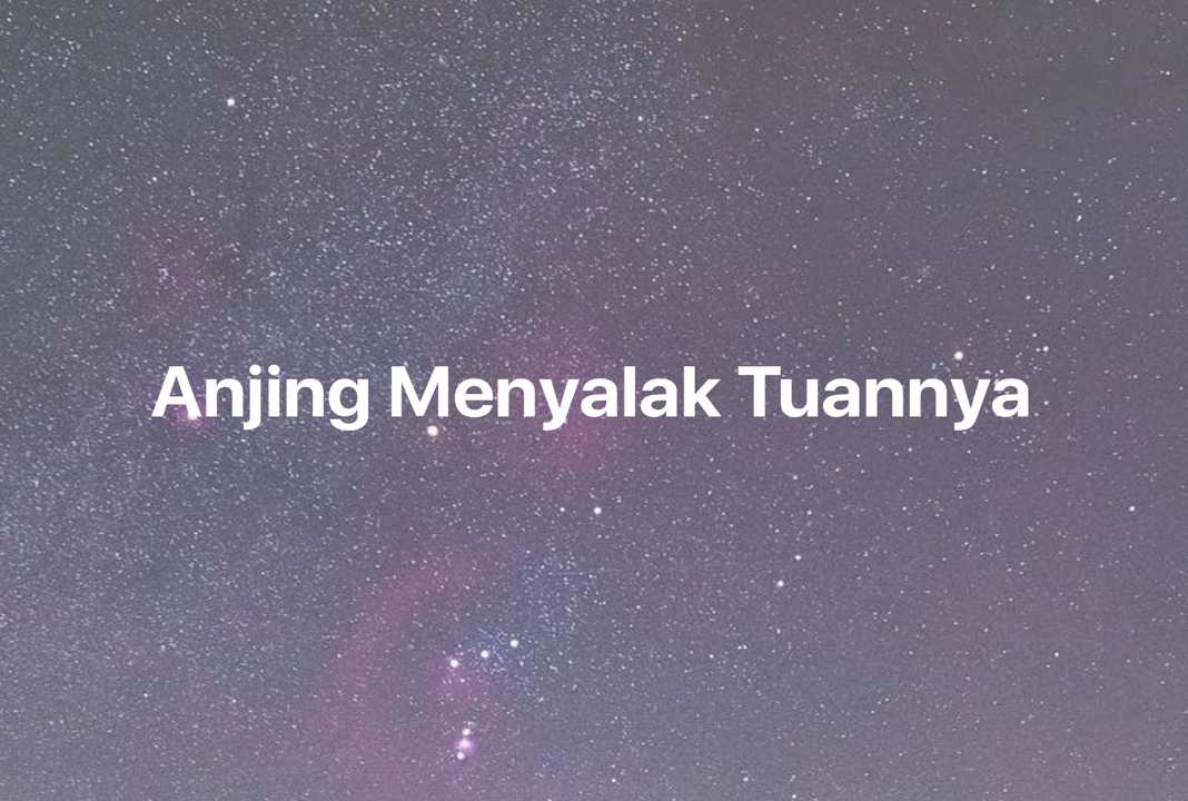 Gambar Mimpi Anjing Menyalak Tuannya