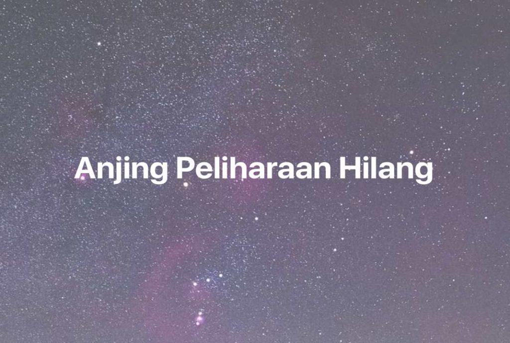 Gambar Mimpi Anjing Peliharaan Hilang