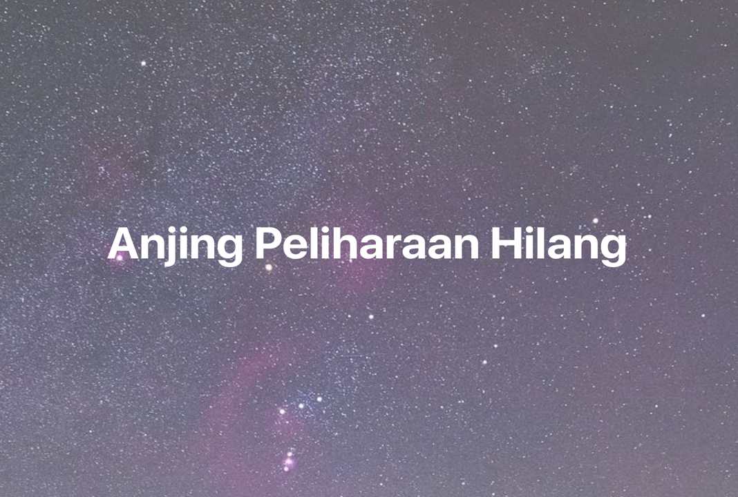 Gambar Mimpi Anjing Peliharaan Hilang