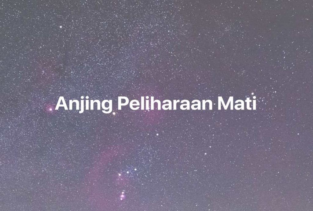 Gambar Mimpi Anjing Peliharaan Mati