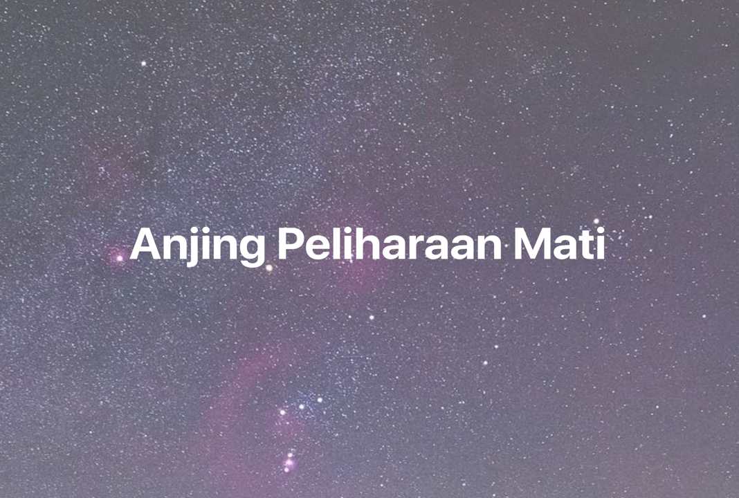 Gambar Mimpi Anjing Peliharaan Mati